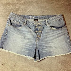 High waisted Denim Shorts